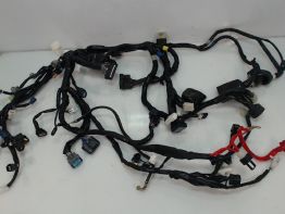 Wire Harness Yamaha MT 10