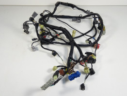 Wire Harness Honda CBR Fireblade
